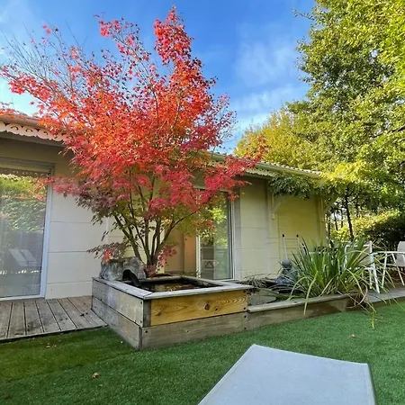 别墅 Maison Blanche *