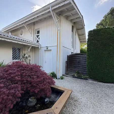 Maison Blanche *
